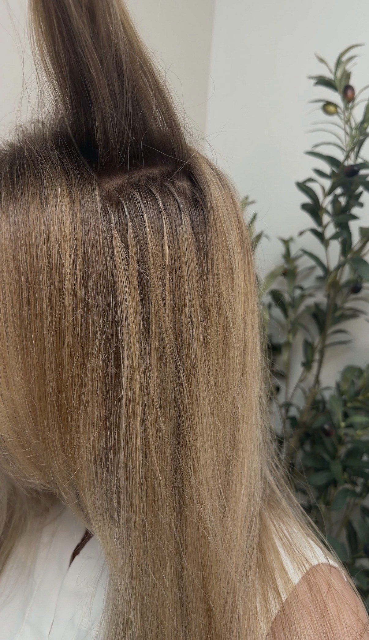 Small keratin bonds sitting flat at a client’s root